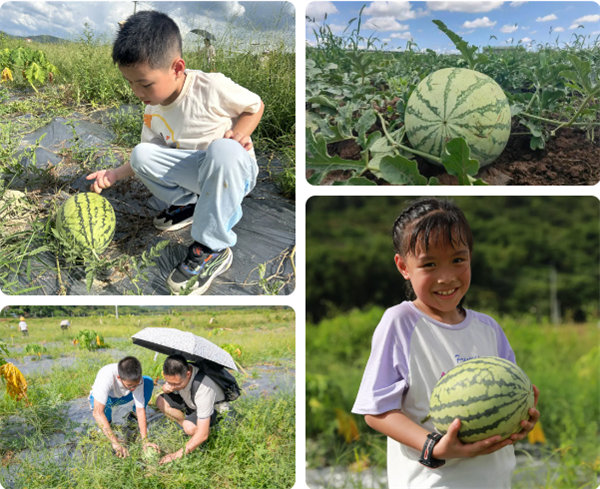 趣游盛夏，一路童行—2024年廣東博皓親子游   -12