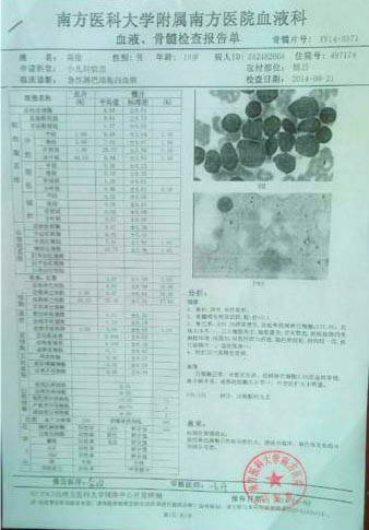 高俊的血液、骨髓檢查報(bào)告單